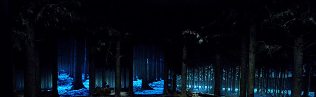 Photograph of Ardennes forest diorama at Bastogne War Musuem.